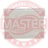Filter, Innenraumluft MASTER-SPORT GERMANY 20013-IF-PCS-MS Bild Filter, Innenraumluft MASTER-SPORT GERMANY 20013-IF-PCS-MS