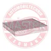 Filter, Innenraumluft MASTER-SPORT GERMANY 21003/1-IF-PCS-MS Bild Filter, Innenraumluft MASTER-SPORT GERMANY 21003/1-IF-PCS-MS