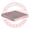 Filter, Innenraumluft MASTER-SPORT GERMANY 22021/1-IF-PCS-MS Bild Filter, Innenraumluft MASTER-SPORT GERMANY 22021/1-IF-PCS-MS