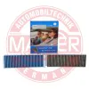 Filter, Innenraumluft MASTER-SPORT GERMANY 25008-2-IFB-SET-MS