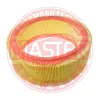 Luftfilter MASTER-SPORT GERMANY 2686-LF-PCS-MS