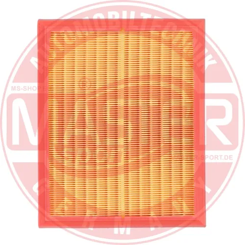 Luftfilter MASTER-SPORT GERMANY 30130-LF-PCS-MS Bild Luftfilter MASTER-SPORT GERMANY 30130-LF-PCS-MS