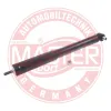 Stoßdämpfer Hinterachse MASTER-SPORT GERMANY 315243-PCS-MS