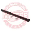Sto&szlig;d&auml;mpfer Hinterachse MASTER-SPORT GERMANY 317136-PCS-MS