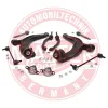 Lenkersatz, Radaufhängung unten Vorderachse MASTER-SPORT GERMANY 37088-KIT-MS Bild Lenkersatz, Radaufhängung unten Vorderachse MASTER-SPORT GERMANY 37088-KIT-MS
