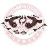 Lenkersatz, Radaufhängung unten Vorderachse MASTER-SPORT GERMANY 37088-KIT-MS Bild Lenkersatz, Radaufhängung unten Vorderachse MASTER-SPORT GERMANY 37088-KIT-MS