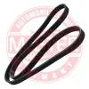 Keilrippenriemen MASTER-SPORT GERMANY 5PK1255-PCS-MS