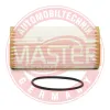 Ölfilter MASTER-SPORT GERMANY 6013Z-OFS-PCS-MS Bild Ölfilter MASTER-SPORT GERMANY 6013Z-OFS-PCS-MS