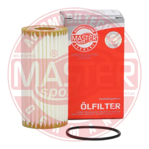 Ölfilter MASTER-SPORT GERMANY 6013Z-OFS-PCS-MS Bild Ölfilter MASTER-SPORT GERMANY 6013Z-OFS-PCS-MS