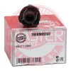 Thermostat, Kühlmittel motorseitig MASTER-SPORT GERMANY 653713580 Bild Thermostat, Kühlmittel motorseitig MASTER-SPORT GERMANY 653713580