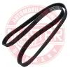 Keilrippenriemen MASTER-SPORT GERMANY 6PK1250-PCS-MS
