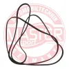 Keilrippenriemen MASTER-SPORT GERMANY 6PK2400-PCS-MS Bild Keilrippenriemen MASTER-SPORT GERMANY 6PK2400-PCS-MS