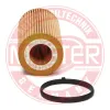 Ölfilter MASTER-SPORT GERMANY 719/6X-OF-PCS-MS Bild Ölfilter MASTER-SPORT GERMANY 719/6X-OF-PCS-MS