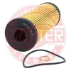&Ouml;lfilter MASTER-SPORT GERMANY 727/1X-OF-PCS-MS