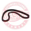 Keilriemen MASTER-SPORT GERMANY AVX-10X617-PCS-MS Bild Keilriemen MASTER-SPORT GERMANY AVX-10X617-PCS-MS