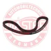 Keilriemen MASTER-SPORT GERMANY AVX-10X625-PCS-MS Bild Keilriemen MASTER-SPORT GERMANY AVX-10X625-PCS-MS