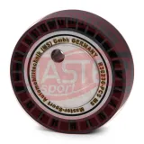 Spannrolle, Keilrippenriemen MASTER-SPORT GERMANY R38230-PCS-MS