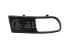 Zier-/Schutzleiste, K&uuml;hlergitter links ALKAR 4901062