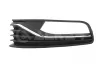 Zier-/Schutzleiste, K&uuml;hlergitter links ALKAR 4951110