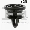 Clip, Zier-/Schutzleiste FA1 11-40031.25