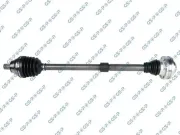 Antriebswelle GSP 201987