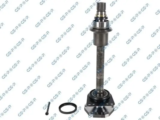 Steckwelle, Differential GSP 203383