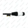Luftfederbein Hinterachse links GSP 30001008