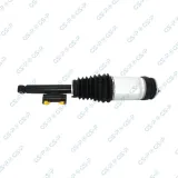 Luftfederbein Hinterachse links GSP 30001008