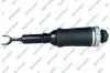 Luftfederbein Vorderachse GSP 30900030