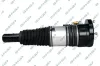 Luftfederbein Vorderachse GSP 30900120