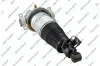 Luftfederbein Hinterachse links GSP 30900142