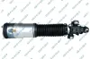 Luftfederbein Hinterachse links GSP 30900472