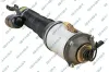 Luftfederbein Vorderachse links GSP 30900672