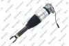 Luftfederbein Hinterachse links GSP 30900682