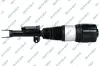 Luftfederbein Vorderachse links GSP 30900802
