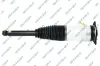 Luftfederbein Hinterachse GSP 30900920