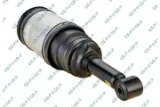 Luftfederbein Hinterachse GSP 30900950