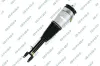 Luftfederbein Vorderachse GSP 30900990