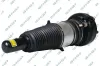 Luftfederbein Vorderachse links GSP 30901142