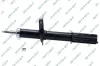 Stoßdämpfer Vorderachse GSP 31302920