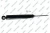 Stoßdämpfer Hinterachse GSP 32109430