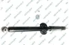 Stoßdämpfer Hinterachse GSP 32114510