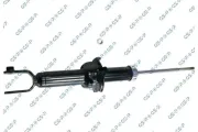 Stoßdämpfer Hinterachse GSP 32123620