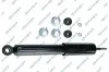 Stoßdämpfer Vorderachse GSP 32127530