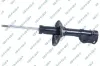Stoßdämpfer Vorderachse GSP 32300390
