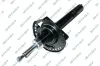 Stoßdämpfer Vorderachse GSP 32300980