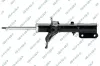 Stoßdämpfer Vorderachse GSP 32301560