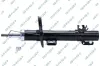 Stoßdämpfer Vorderachse GSP 32302570