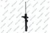 Stoßdämpfer Hinterachse GSP 32309760