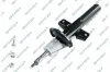 Stoßdämpfer Hinterachse GSP 32323340